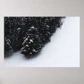 黒と白のトウヒの森と雪 ポスター (正面)