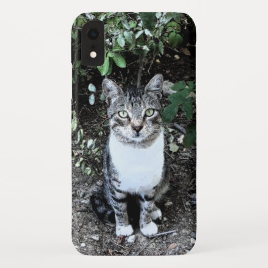 黒と白のトルコ猫の浪人 Case-Mate iPhoneケース (裏面)