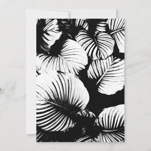 黒と白のトロピカルパームの結婚式の披露宴 招待状 (裏面)