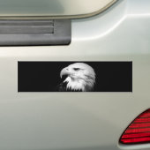 黒と白のハゲワシ バンパーステッカー (車上)