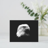 黒と白のハゲワシ ポストカード (スタンド正面)