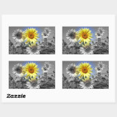 黒と白のヒマワリと黄色 長方形シール (シート)