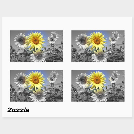 黒と白のヒマワリと黄色 長方形シール (シート)