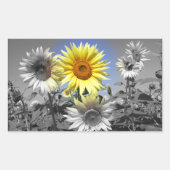 黒と白のヒマワリと黄色 長方形シール (正面)