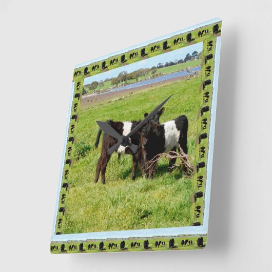 黒と白のベビーの帯状のガロウェイ牛 スクエア壁時計 (傾斜)