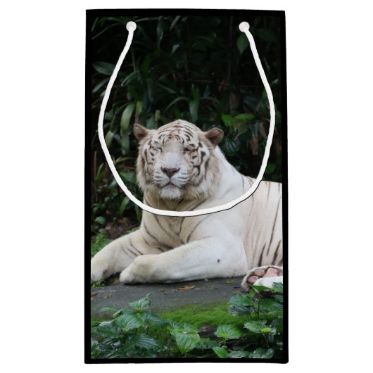 黒と白のベンガルのトラと笑顔 スモールペーパーバッグ (裏面)