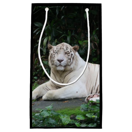 黒と白のベンガルのトラと笑顔 スモールペーパーバッグ (正面)