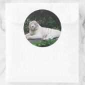 黒と白のベンガルのトラと笑顔 ラウンドシール (バッグ)