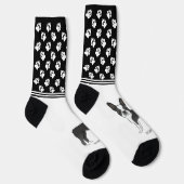 黒と白のボストンテリアの名前と手 ソックス (右)