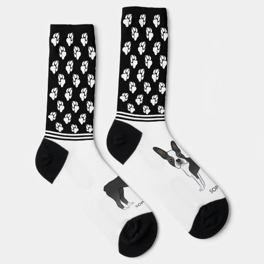 黒と白のボストンテリアの名前と手 ソックス (右)