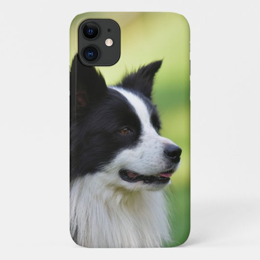 黒と白のボーダーコリー Case-Mate iPhoneケース (裏面)