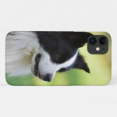 黒と白のボーダーコリー Case-Mate iPhoneケース (裏面(横))