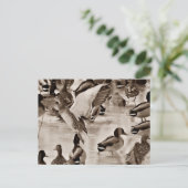 黒と白のマラードアヒル葉書 ポストカード (スタンド正面)