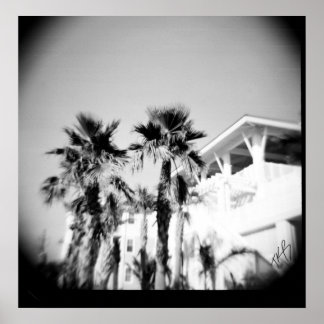 黒と白のヤシ ポスター