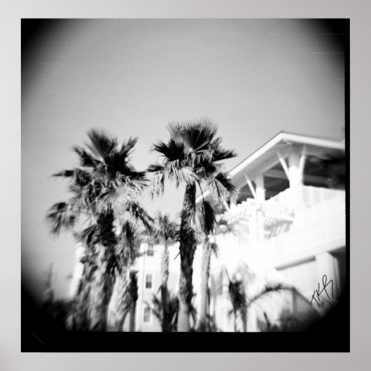 黒と白のヤシ ポスター (正面)