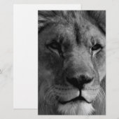 黒と白のライオン 便箋 (正面/裏面)