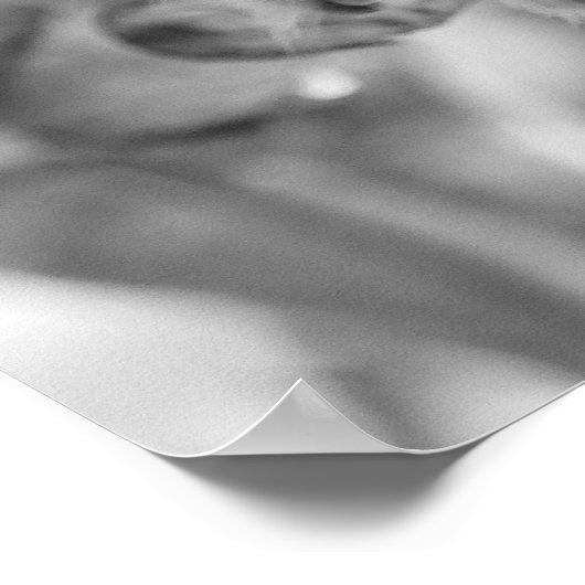 黒と白のリスのサルの野生動物 ポスター (角)