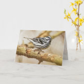 黒と白のワルブラー カード (黄色い花)