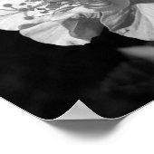 黒と白の二重ハイビスカスフラワー ポスター (角)