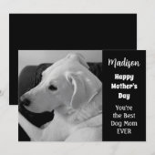 黒と白の写真のかわいい犬 母の日 シーズンカード (正面/裏面)