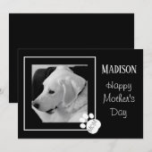 黒と白の写真の可愛い犬の母の日 シーズンカード (正面/裏面)