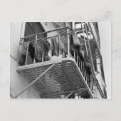 黒と白の写真を乾燥したユーモアのために下着 ポストカード (正面)