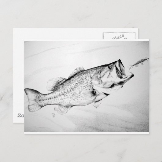 黒と白の大きなベースを追いかけるルアー。 ポストカード (正面/裏面)