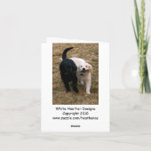 黒と白の子犬のノートカード カード (裏面)