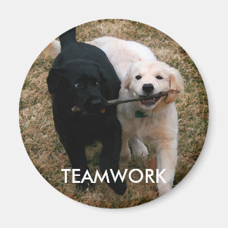 黒と白の子犬の磁石 マグネット