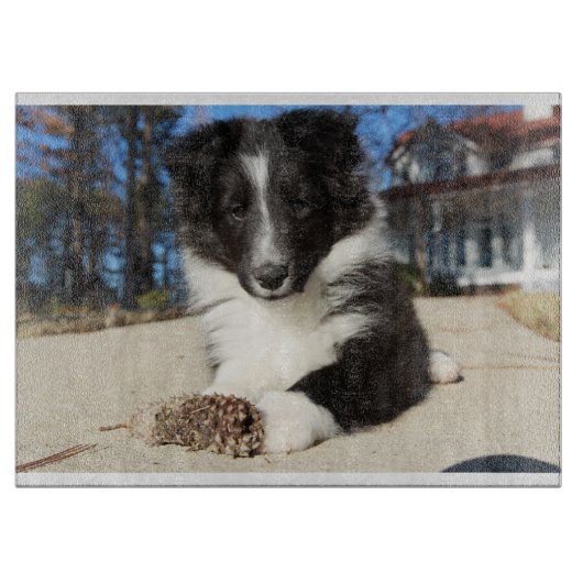 黒と白の子犬を飼う カッティングボード (正面)