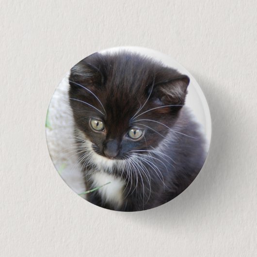 黒と白の子猫の写真 缶バッジ (正面)