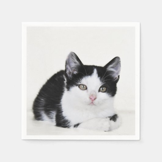 黒と白の子猫 スタンダードカクテルナプキン (正面)