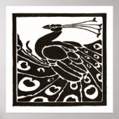 黒と白の孔雀 ポスター (正面)