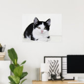 黒と白の愛らしい仔猫のポスター ポスター (ホームオフィス)