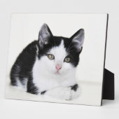 黒と白の愛らしい子猫の写真プレート フォトプラーク (側面)