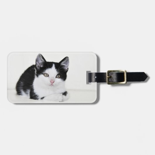 黒と白の愛らしい子猫の荷物タグ ラゲッジタグ (正面横)