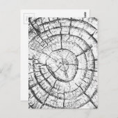 黒と白の木の幹コレクシコンテンポラリーョン ポストカード (正面/裏面)