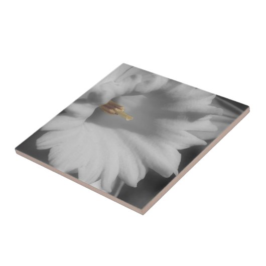 黒と白の水仙 タイル (側面)