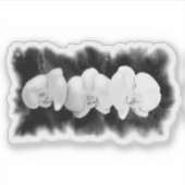 黒と白の水色のラン シール (正面)