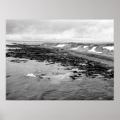黒と白の海岸風景 ポスター (正面)
