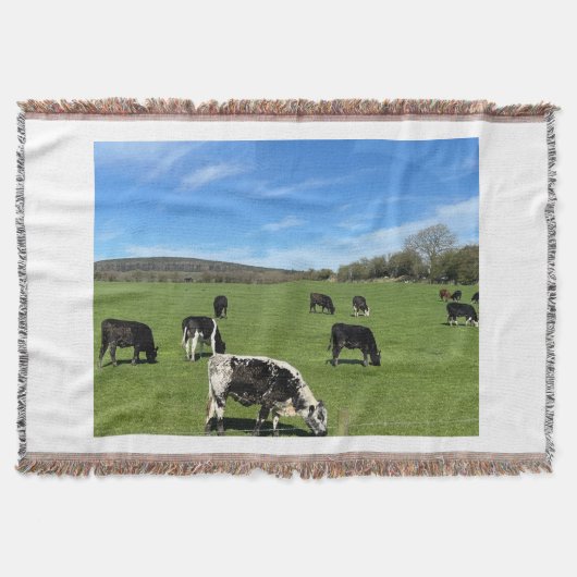 黒と白の牛がフィールド毛布のスローで放牧 スローブランケット (正面)