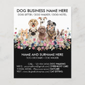 黒と白の犬の散歩・ペットシッター・グルーマー チラシ (裏面)