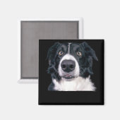 黒と白の犬の顔 マグネット (正面/裏面)