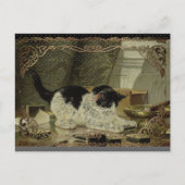 黒と白の猫のシガーのオイルブロンズボーダー シーズンポストカード (正面)