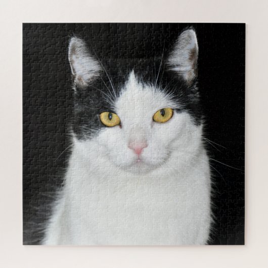 黒と白の猫の肖像画 ジグソーパズル (横)