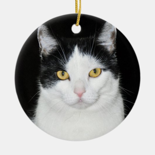 黒と白の猫の肖像画 セラミックオーナメント (正面)