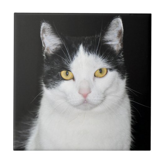 黒と白の猫の肖像画 タイル (正面)