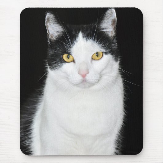 黒と白の猫の肖像画 マウスパッド (正面)