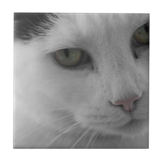 黒と白の猫の顔 タイル (正面)