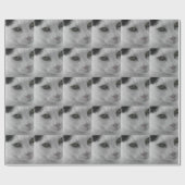 黒と白の猫の顔 ラッピングペーパー (フラット)